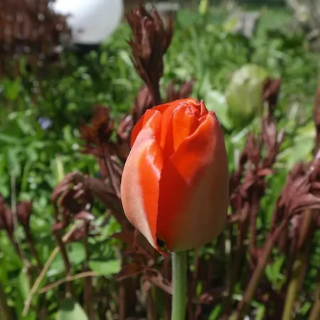 Naantali Holiday Home *