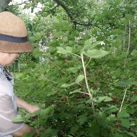 Σπίτι διακοπών Naantali Holiday Home