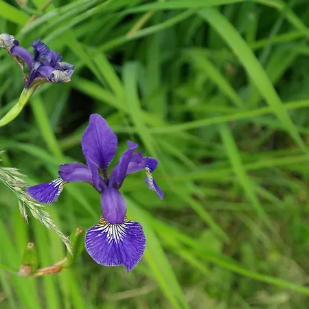 Naantali Holiday Home Σπίτι διακοπών Naantali