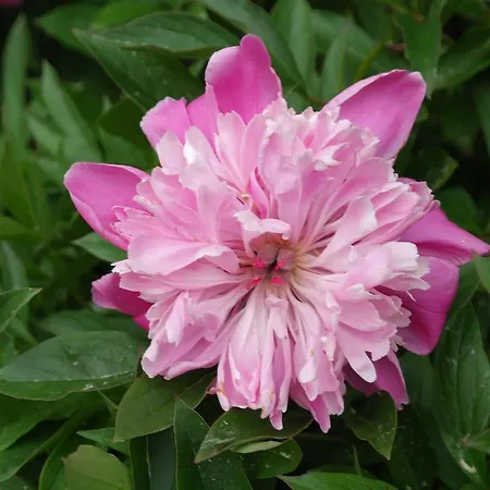 Сasa de vacaciones Naantali Holiday Home