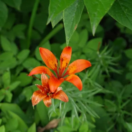 Naantali Holiday Home بيت للعطل