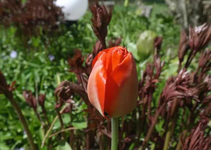 Naantali Holiday Home *