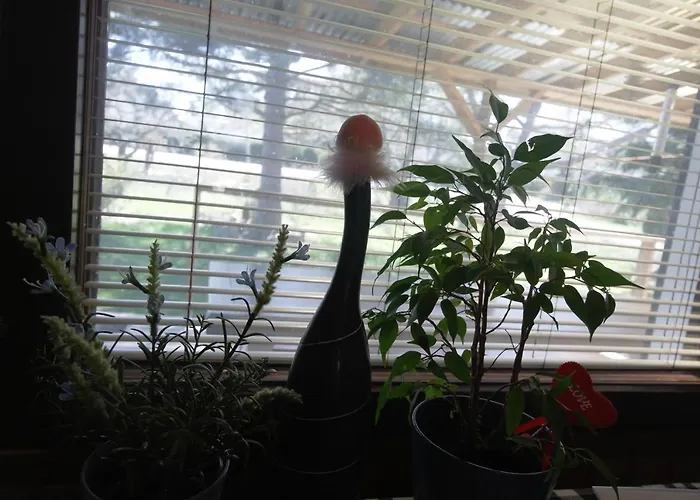 Casa vacanze Naantali Holiday Home