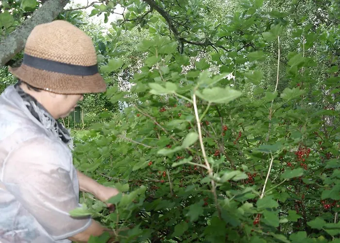 度假居 Naantali Holiday Home