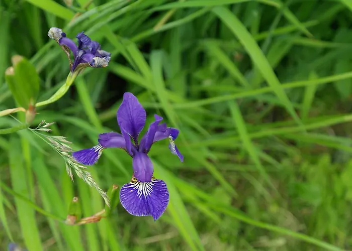Naantali Holiday Home Ferienhaus Naantali
