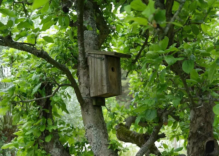 Naantali Holiday Home Ferienhaus *