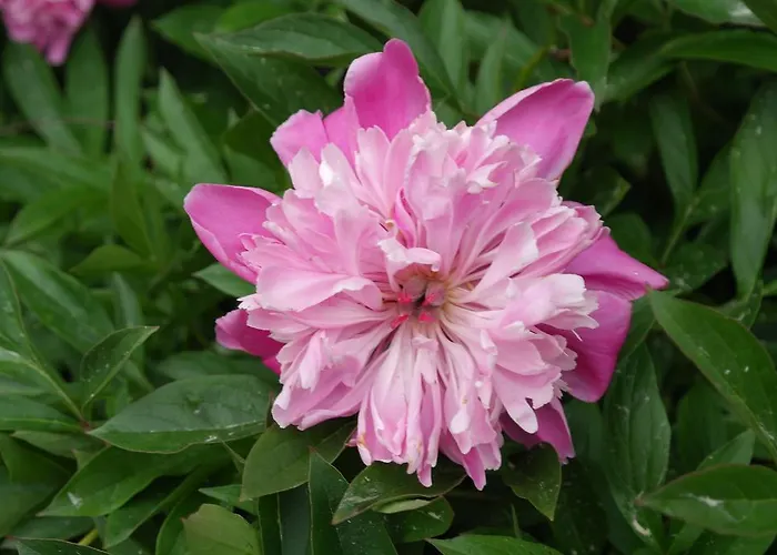 Ferienhaus Naantali Holiday Home