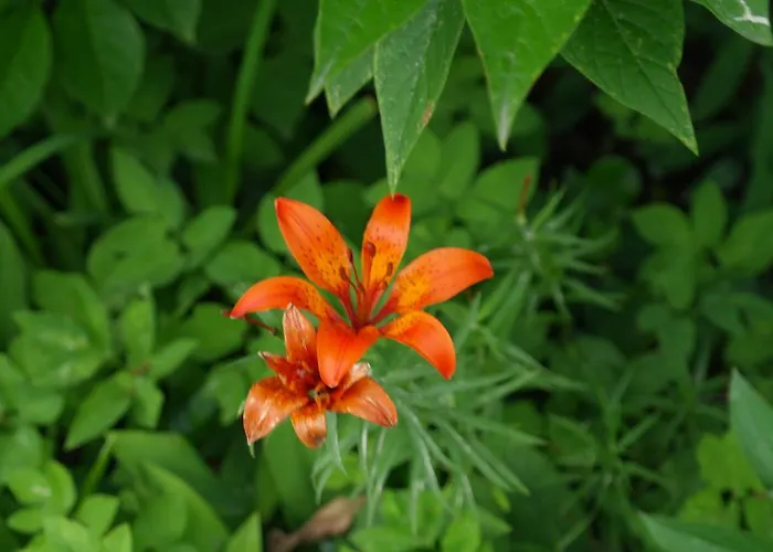 Naantali Holiday Home Casa vacanze